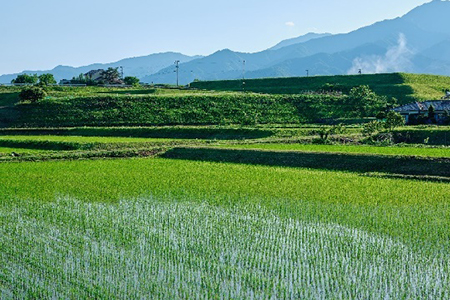 写真: 地域資源を核に地域内外がつながり、持続可能なオンリーワンの地域づくりを目指す「輝く農山村地域創造プロジェクト」の紹介