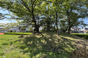 写真: 信遊記～第八回　小笠原氏に学ぶ～